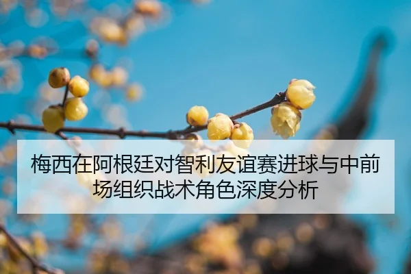 mei-xi-zai-a-gen-ting-dui-zhi-li-you-yi-sai-jin-qiu-yu-zhong-qian-chang-zu-zhi-zhan-shu-jue-se-shen-du-fen-xi-2-505.jpg